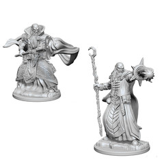 Nolzur's Marvelous Miniatures - Human Wizard